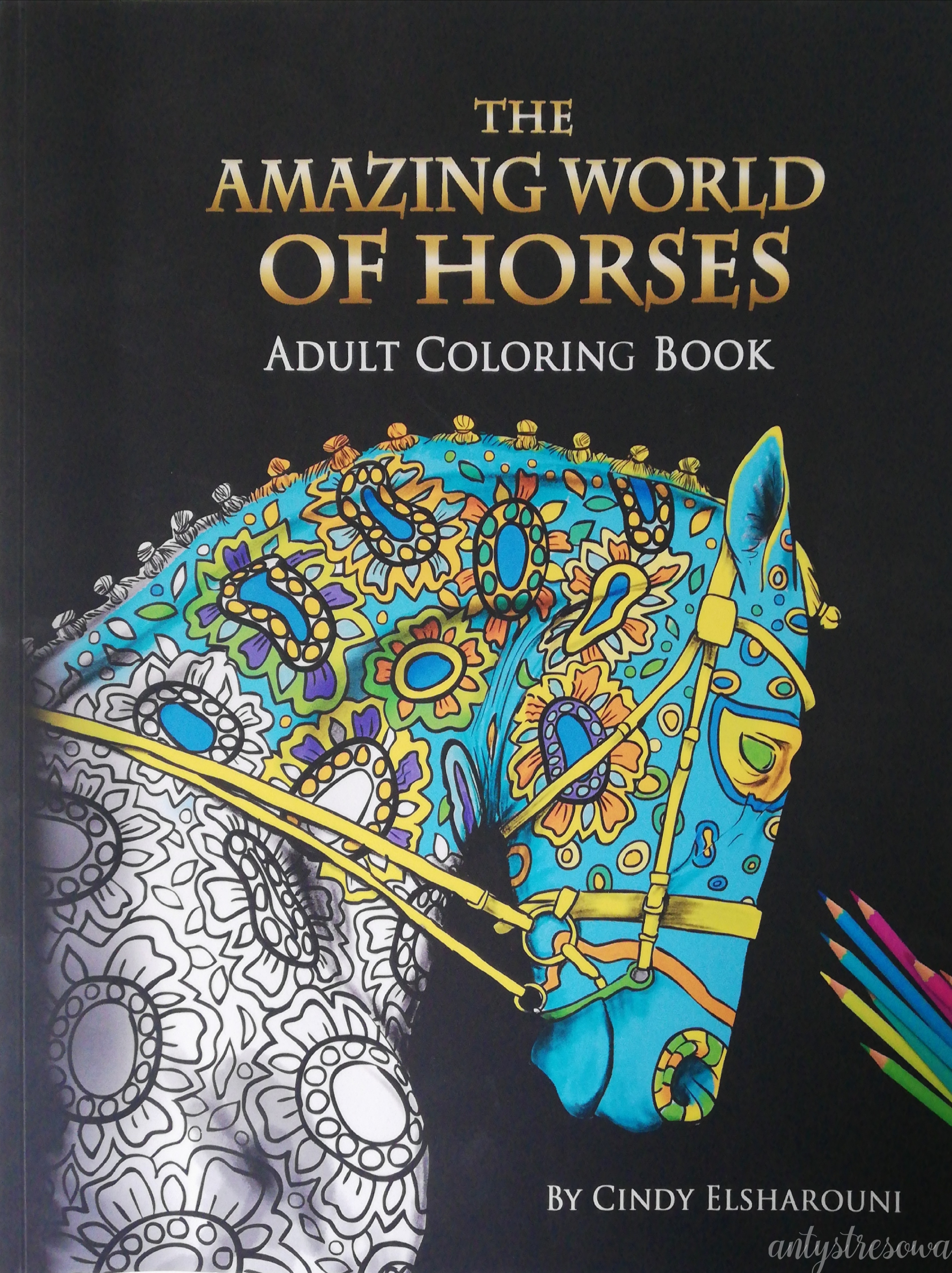 Okładka książki Amazing world of horses