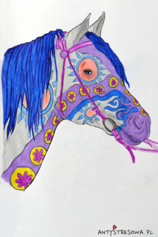 Obrazek z książi Amazing world of Horses, Cindy Elsharouni