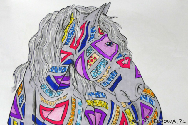 Obrazek z kolorowanki Amazing World Of Horses wykonany pisakami Art & Graphic oraz kredkami Koh-I-Noor