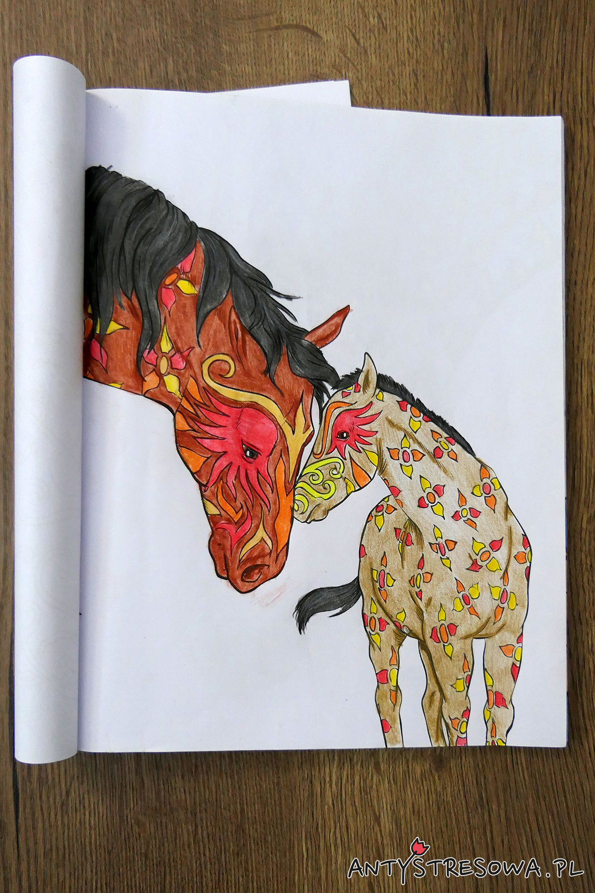 Obrazek z książi Amazing world of Horses, Cindy Elsharouni.  Kredki Derwent Coloursoft