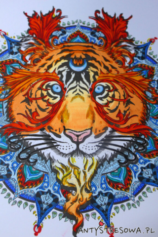 Mandalas Gone Wild - Tygrys