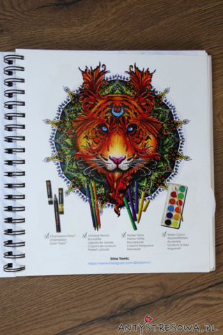 Mandalas Gone Wild - kolorowanka do markerów i nie tylo