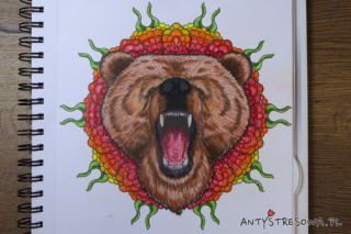 Mandalas Gone Wild - niedźwiedź. Kredki Prismacolor Premier