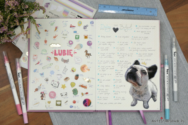 Bullet Journal - opis psa i moje zainteresowania