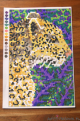 Kolorowanka numeryczna - gepard