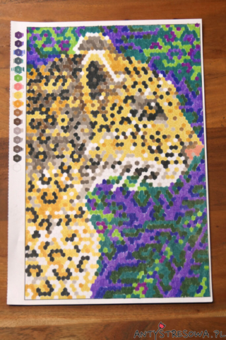 Kolorowanka numeryczna - gepard