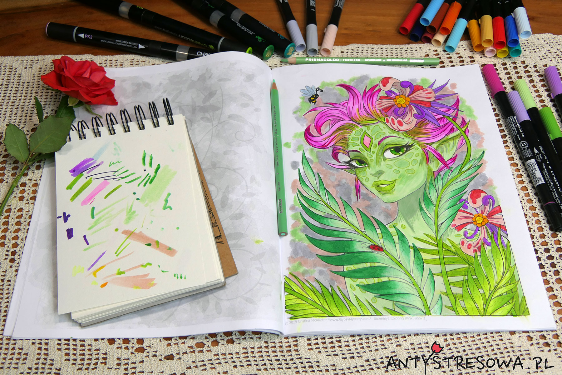 Serenaiya Coloring Book - kolorowanka dla dorosłych pełna elfów